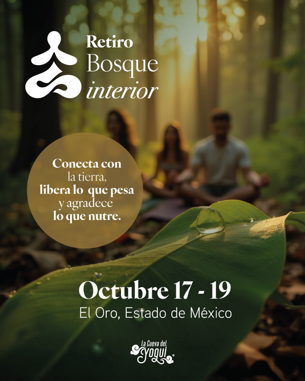 Retiro Bosque Interior – Meditación y Yoga en el bosque | El Oro, México