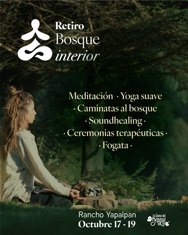 Retiro Bosque Interior – Meditación y Yoga en el bosque | El Oro, México