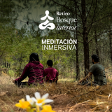 Retiro Bosque Interior – Meditación y Yoga en el bosque | El Oro, México