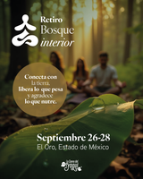 Retiro Bosque Interior – Meditación y Yoga en el bosque | El Oro, México