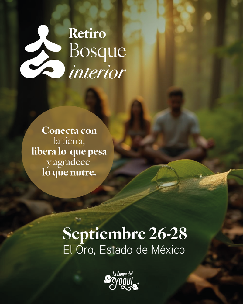 Retiro Bosque Interior – Meditación y Yoga en el bosque | El Oro, México