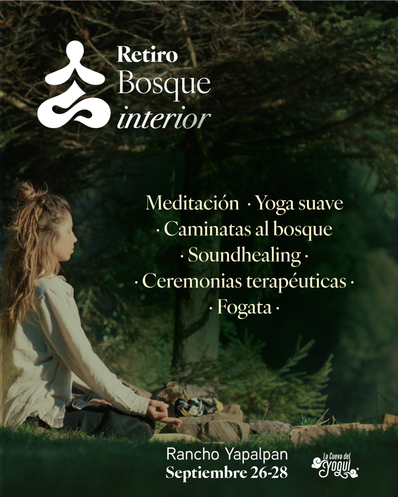 Retiro Bosque Interior – Meditación y Yoga en el bosque | El Oro, México