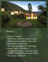 Retiro Bosque Interior – Meditación y Yoga en el bosque | El Oro, México