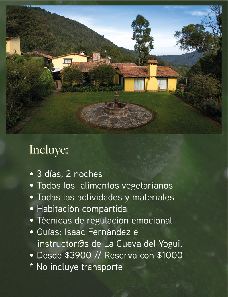 Retiro Bosque Interior – Meditación y Yoga en el bosque | El Oro, México