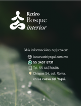 Retiro Bosque Interior – Meditación y Yoga en el bosque | El Oro, México