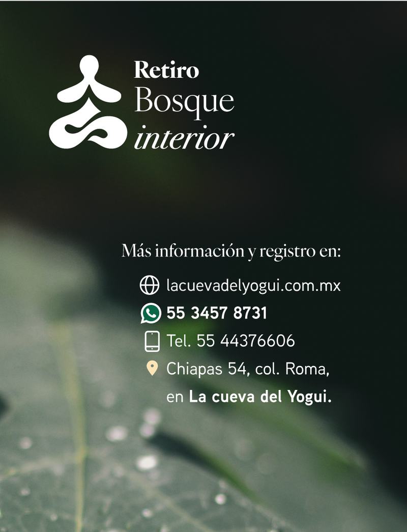 Retiro Bosque Interior – Meditación y Yoga en el bosque | El Oro, México