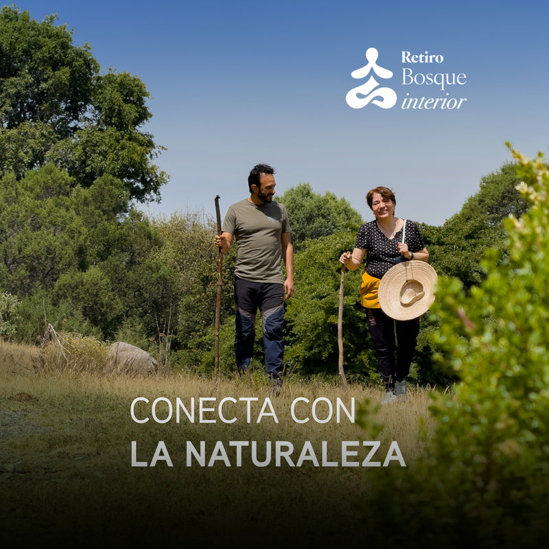 Retiro Bosque Interior – Meditación y Yoga en el bosque | El Oro, México